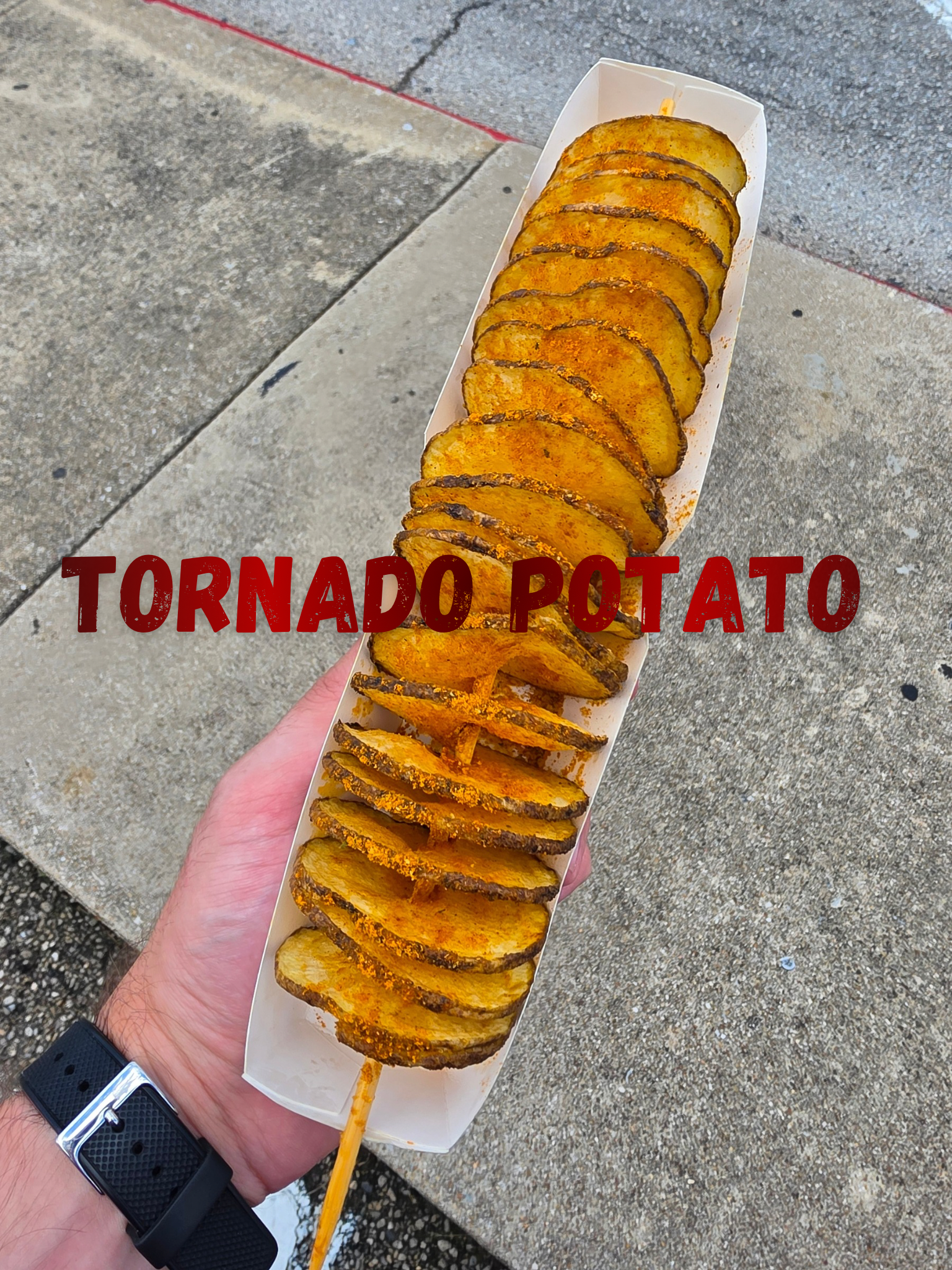 Tornado Potato on a skewer